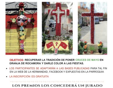 Concurso de Cruces de Mayo 2020